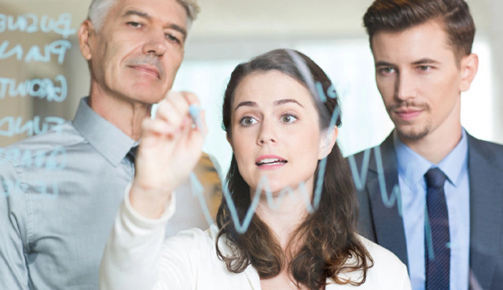 Kurumsallaşma ve Kurum Stratejisi Danışmanlığı